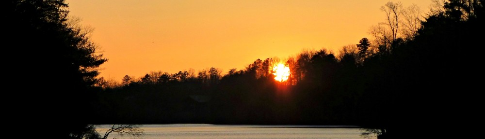 cropped-2013-0103-sunset-lake-tamarack-2