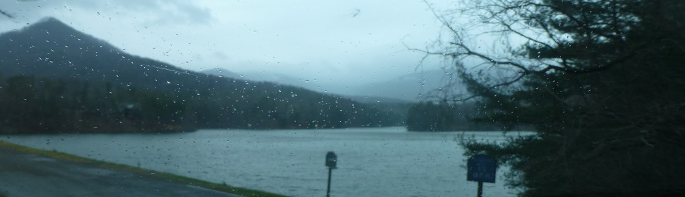 cropped-2013-0404-wind-rain-lake-tamarack