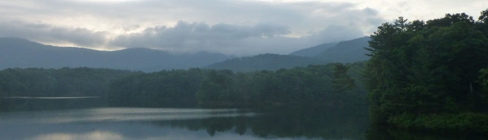 cropped-2013-0626-morning-lake-tamarack