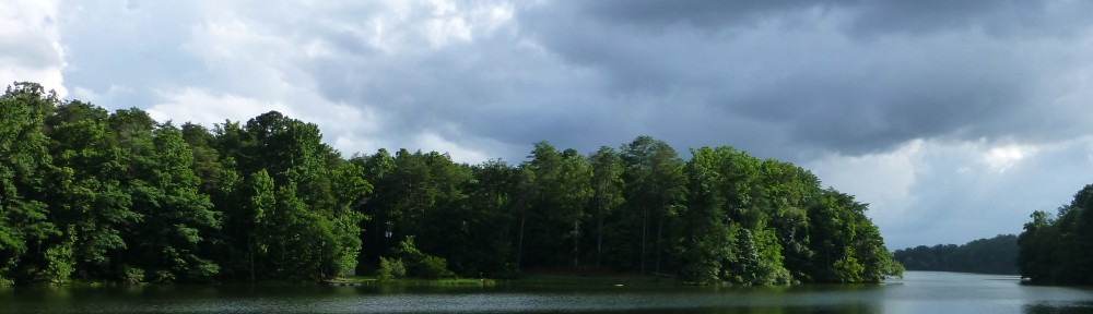 cropped-2013-07-lake-tamarack