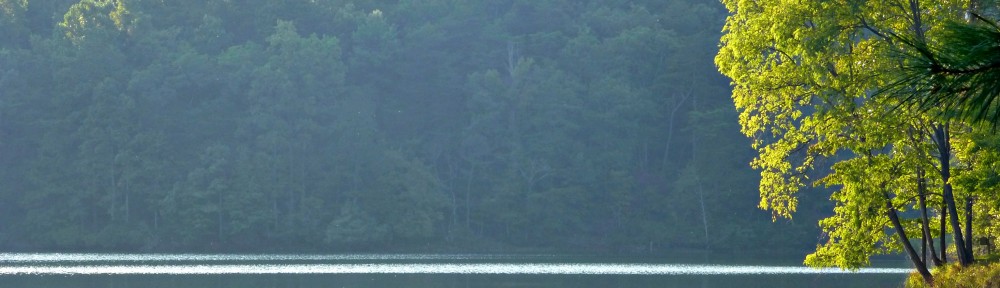 cropped-2013-1003-lake-tamarack-from-cove