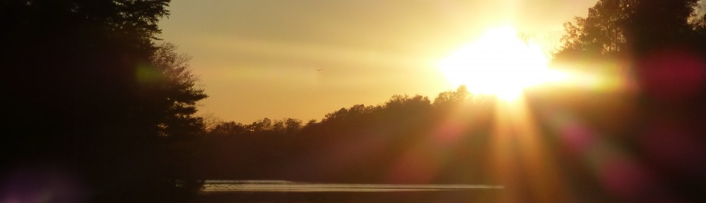cropped-2013-1114-sunset-beach-tamarack
