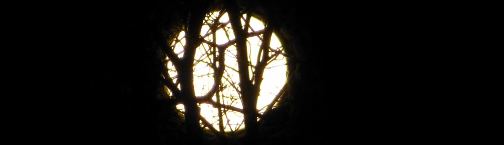 cropped-2013-1118-full-beaver-moon