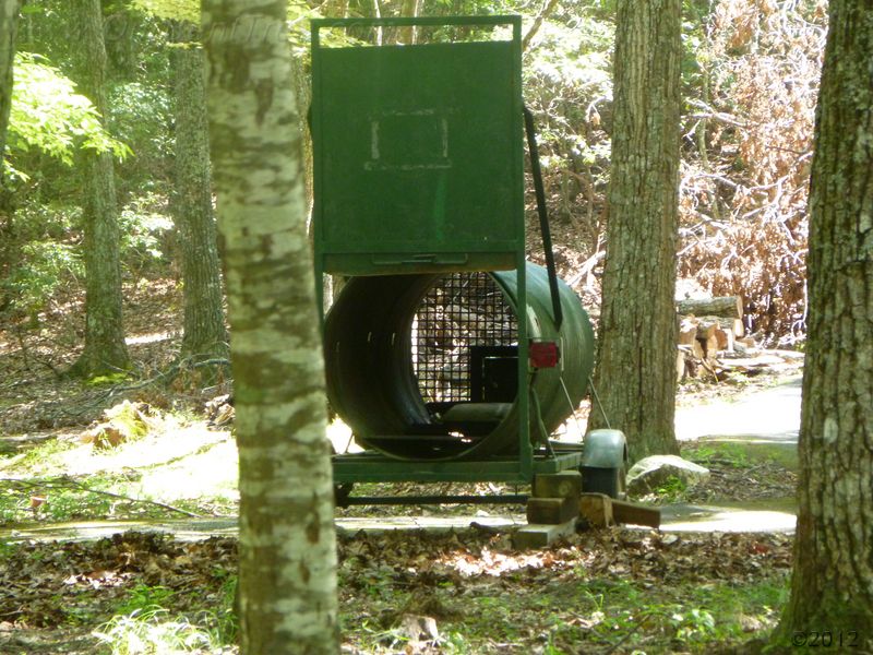 July 29, 2011 - Bear trap in Bent Tree  
