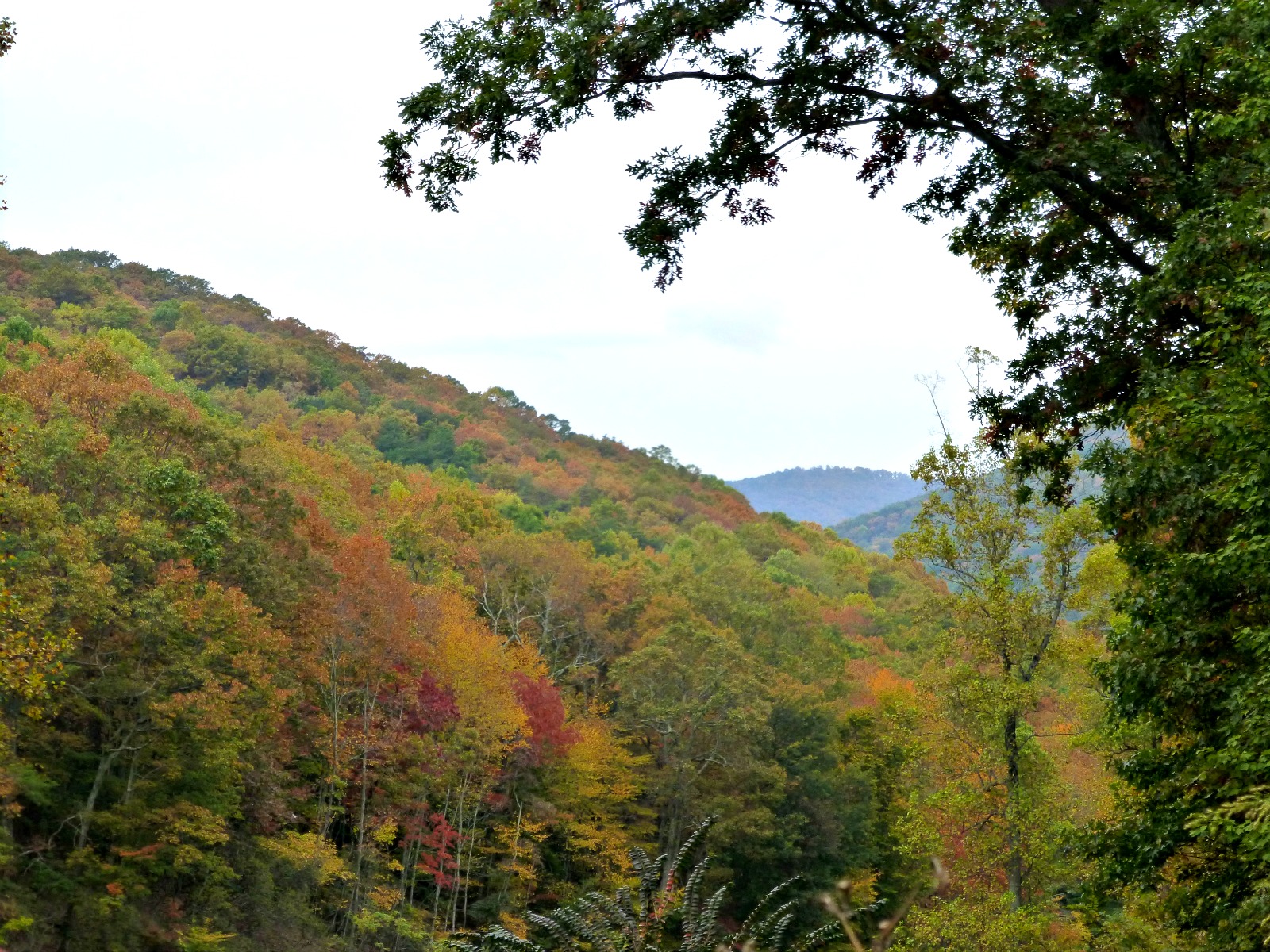 October 25, 2015 - Mountain view in Bent Tree